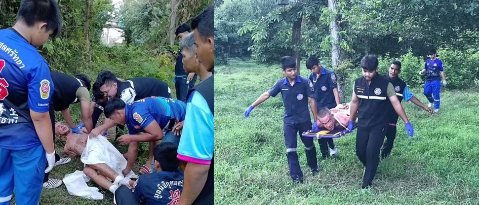 TAILANDIA: Turista ruso intentó “tener intimidad” con una vaca y terminó siendo corneado