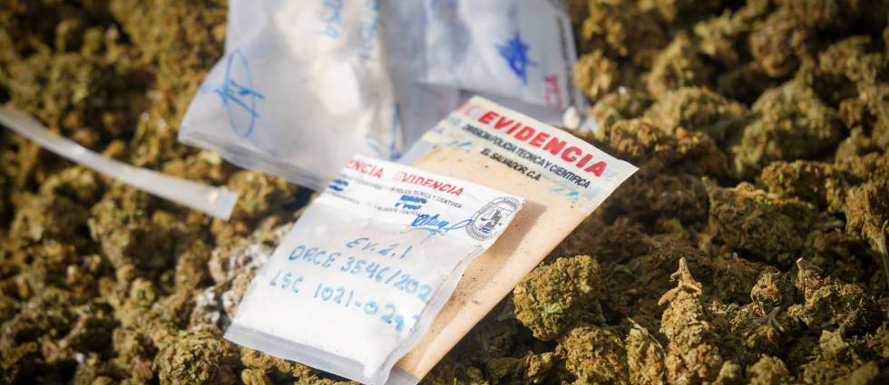 Destruyen ‘coca’, ‘meta’ y marihuana valoradas en 85 mil dólares