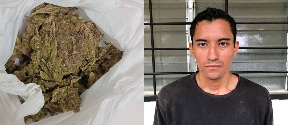 Capturan a sujeto que con marihuana que iba a distribuir a consumidores y vendedores