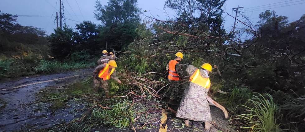 Militares liberan importante vía que estaba bloqueada por un árbol en La Unión