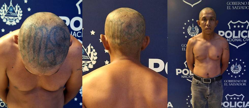 Capturan a temido MS que pasaba desapercibido: «Tras raparlo se le encontraron»