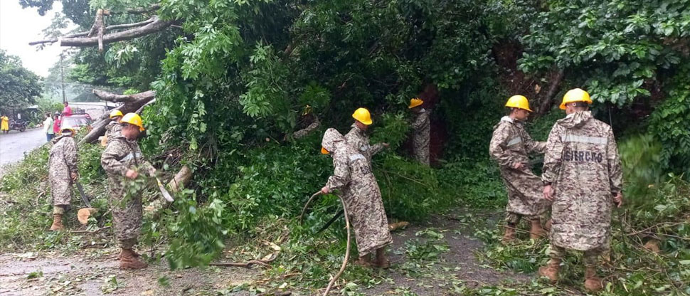 Militares colaboran para retirar escombros por derrumbe y árbol caído en carretera Litoral