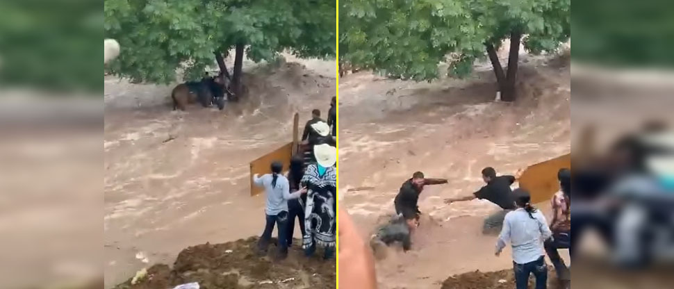 MÉXICO: creciente de un río sorprende a personas que participaban en una cabalgata
