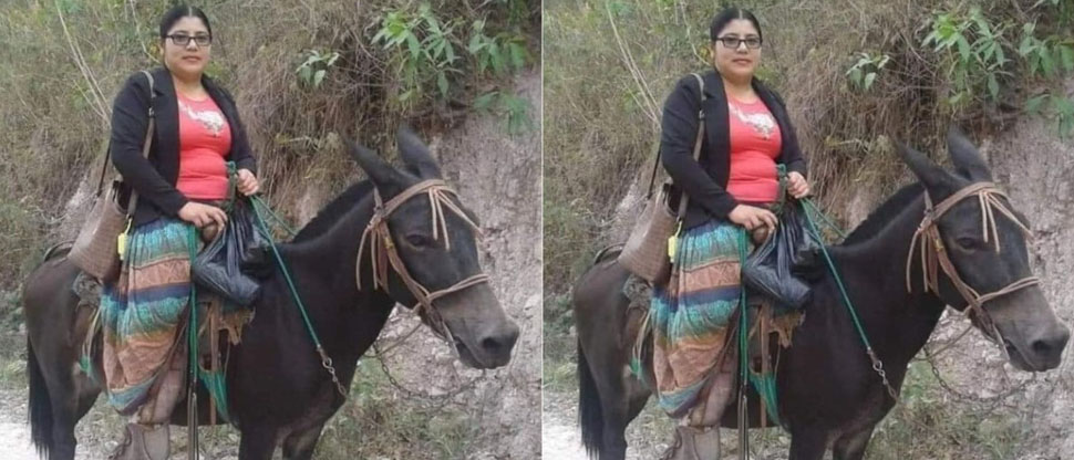 HONDURAS: se viraliza maestra por ir en mula a su puesto de trabajo