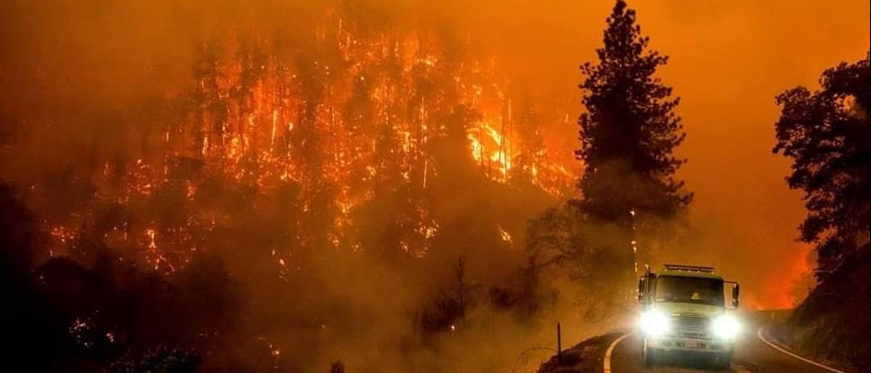 Voraz incendio forestal arrasa con decenas de viviendas en ciudades de Los Ángeles