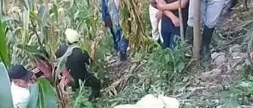 GUATEMALA: niño fallece en una milpa luego de caerse y herirse con su propio machete