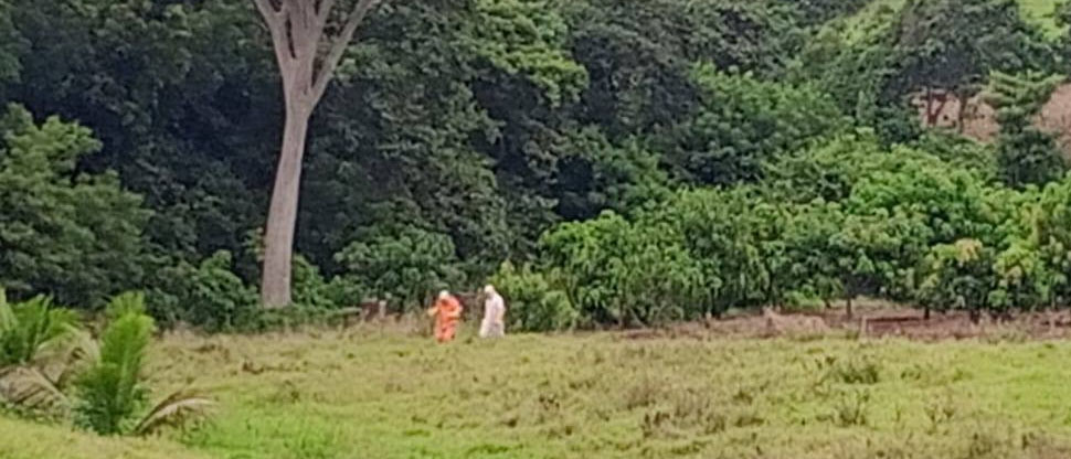 Enjambre de abejas pica a adulto mayor en Sonsonate