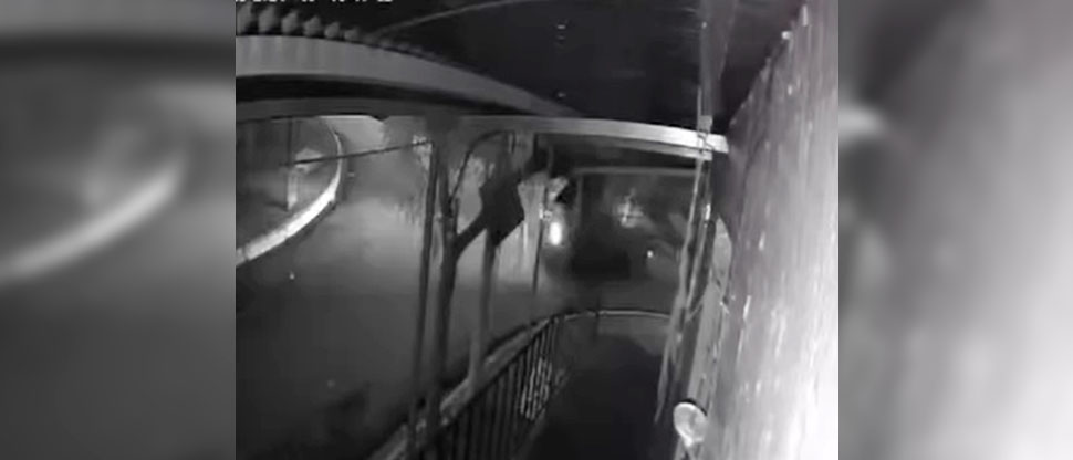 Captan momento cuando conductor huye tras atropellar a una anciana en Usulután  