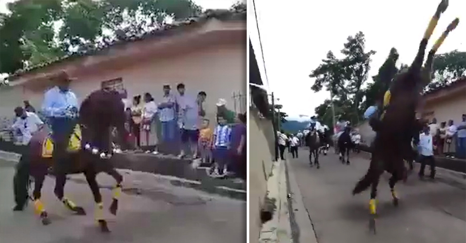 Jinete resulta gravemente lesionado luego de que su caballo le cayera encima