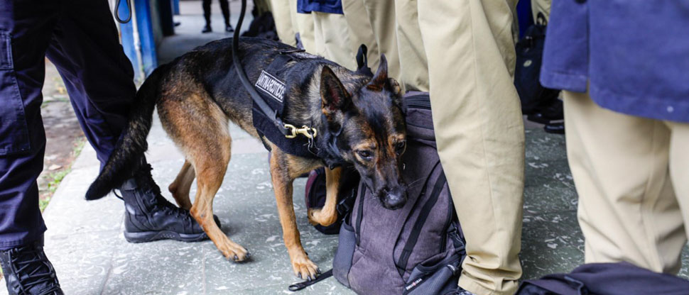 Capturan a estudiante del INFRAMEN por portar droga