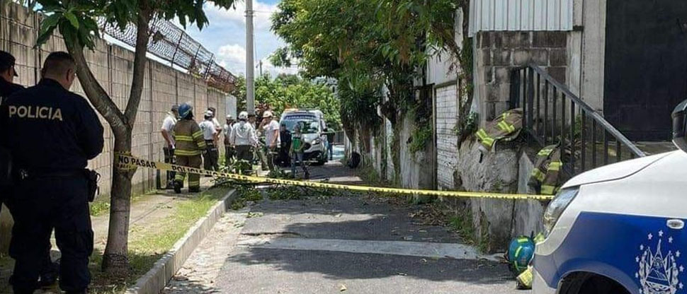 Hombre pierde la vida tras recibir descarga eléctrica mientras podaba un árbol