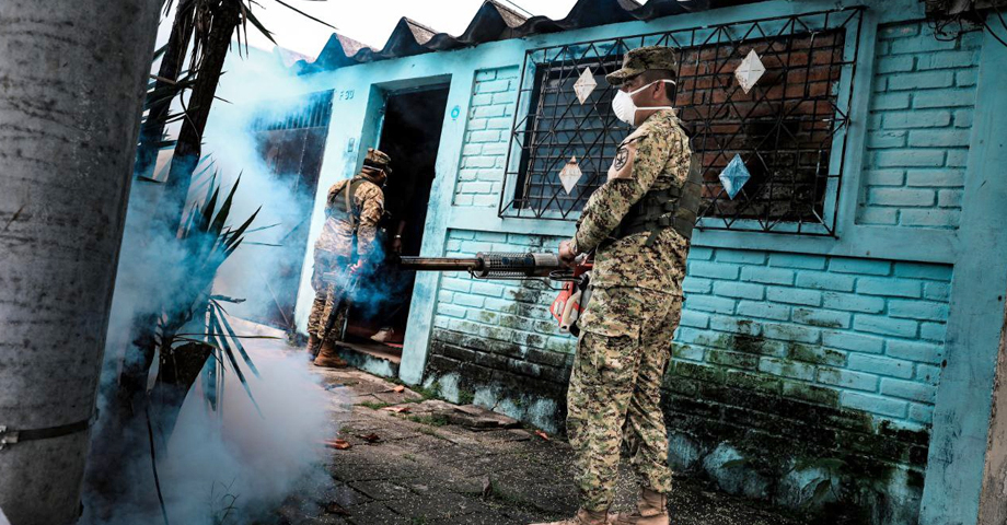 Confirman disminución en los casos de dengue en el país