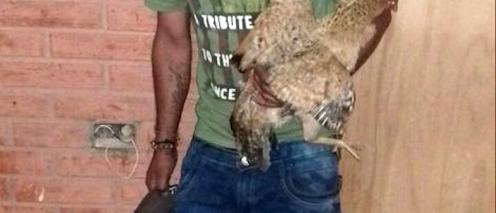 Sujeto que abusaba de gallinas y de dos niñas podría recibir dura condena en Honduras