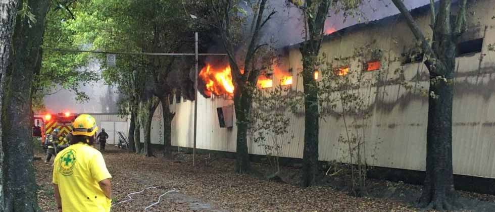 Reportan incendio en una granja de pollos en Guazapa