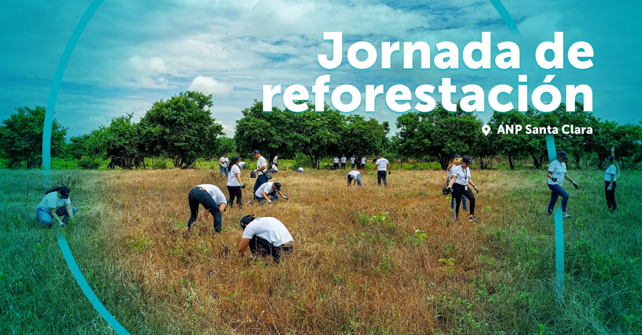Desarrollan jornada de reforestación en Área Natural Protegida Santa Clara