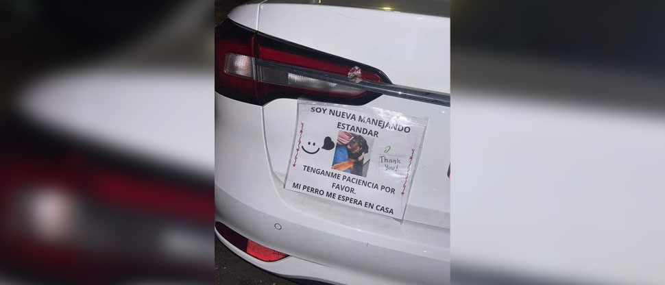 “Mi perro me espera”: el curioso mensaje de una mujer que aprende a manejar estándar