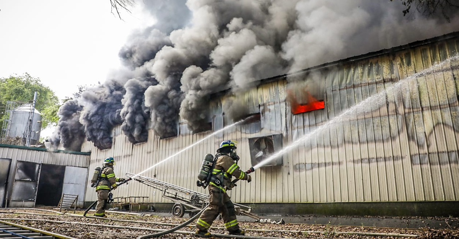 No se reportan aves afectadas por incendio en granja de pollos en Guazapa