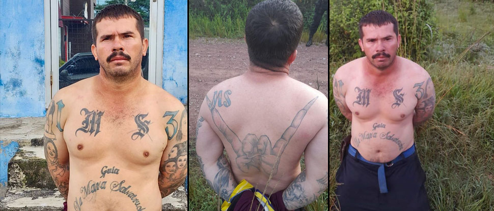 De rodillas ante la justicia, así termina pandillero que por años sembró temor a la población