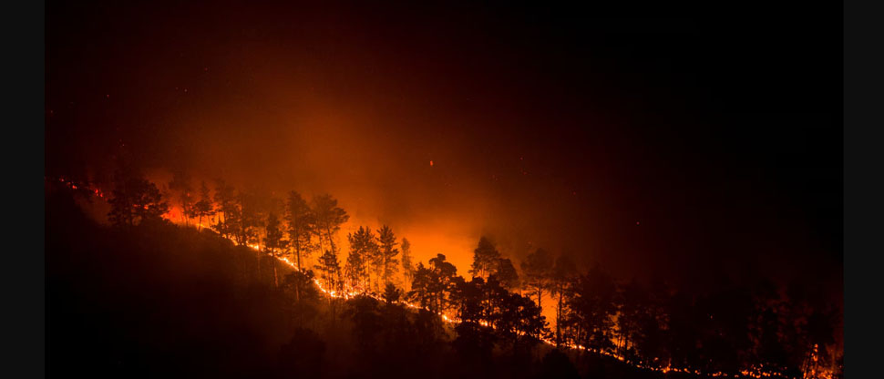 PERÚ: Al menos 15 fallecidos han dejado los incendios forestales en la Amazonía
