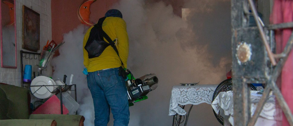 Reos en fase de confianza se suman a labores de fumigación