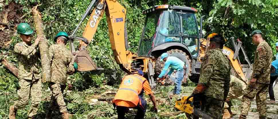 Soldados apoyan al retiro de un árbol caído que obstaculizaba el paso vehicular