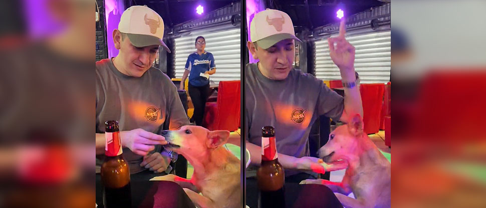 “No todo está perdido”: así reaccionan seguidores de WichitoSV tras alimentar a un perrito