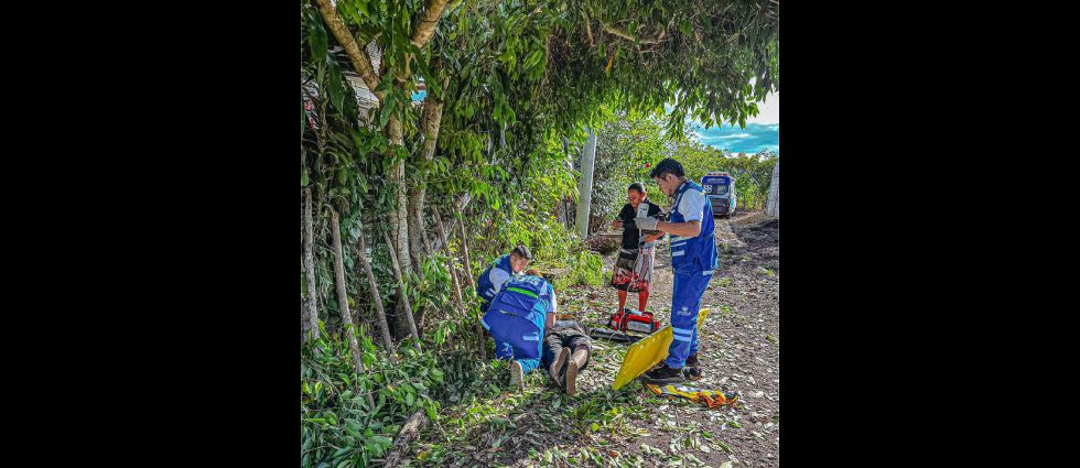 Auxilian a joven tras caer de un árbol en Santa Ana