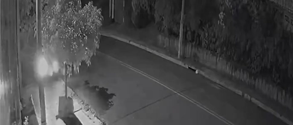 Automovilista se estrella contra un árbol en Santa Ana y escapa de la escena