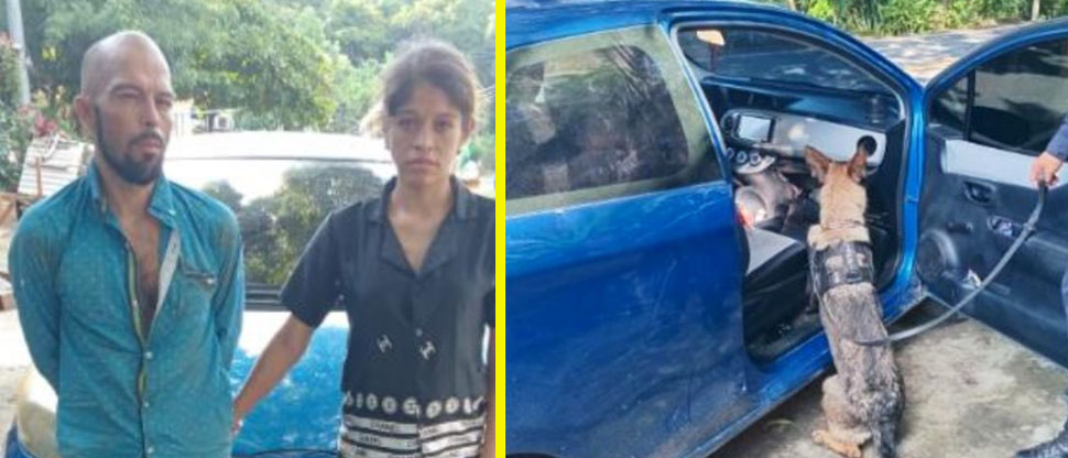 Caen guatemaltecos sorprendidos transportando más de $2,000 en sustancias ilegales