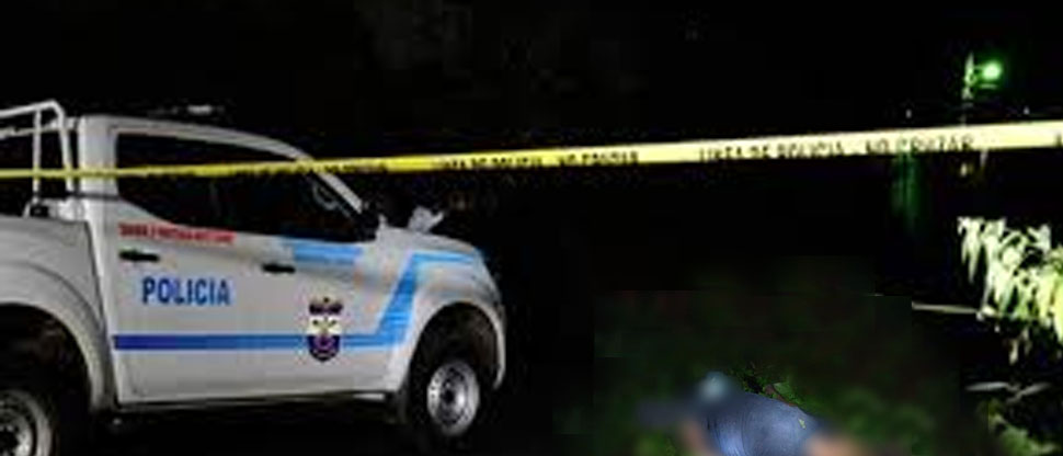 Agricultor muere tras ser picado por enjambre de abejas en Santiago Nonualco