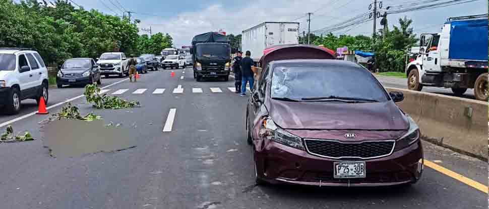 Conductor le quita la vida a peatona de 52 años y se queda en el lugar