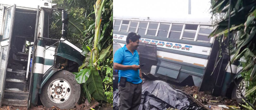 Autobús de la ruta 209 se queda sin frenos y se estrella contra matorrales