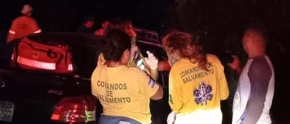 Varias personas resultan lesionadas tras chocar vehículo contra dos caballos