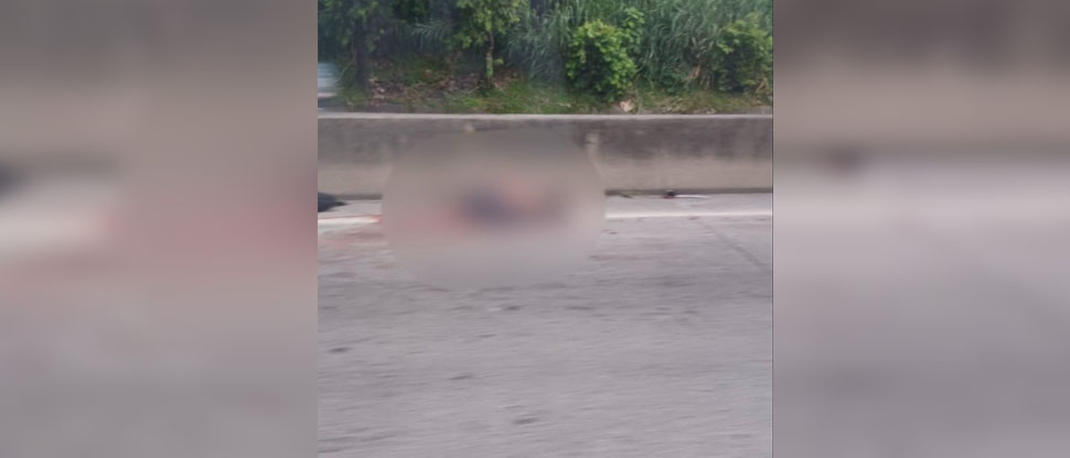 Motociclista pierde la vida tras ser atropellado en carretera de Oro