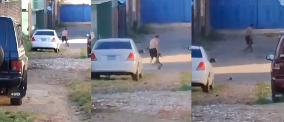 Denuncian a sujeto que maltrató un venado de cola blanca en Santa Ana