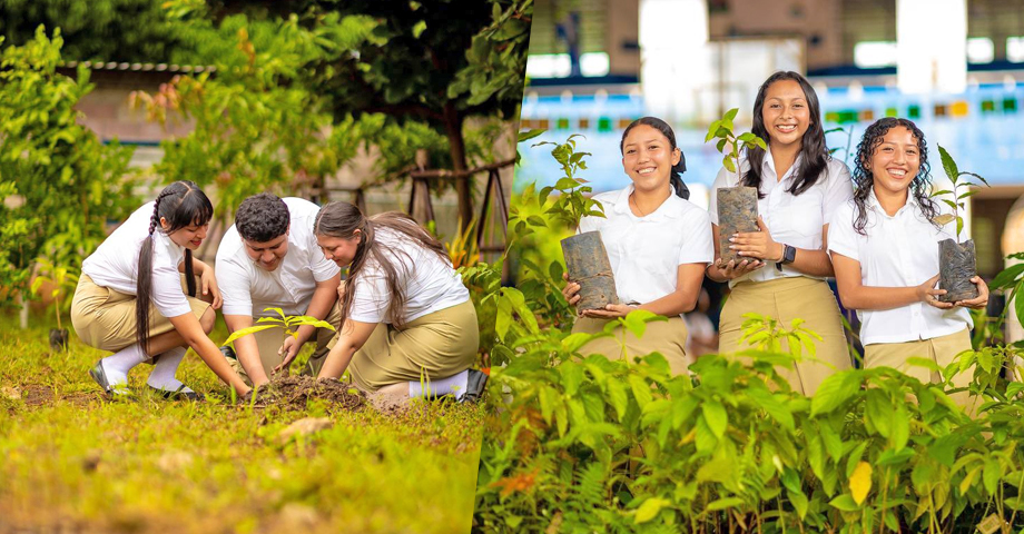 Estudiantes reciben un árbol con el compromiso de cuidarlo durante 12 meses