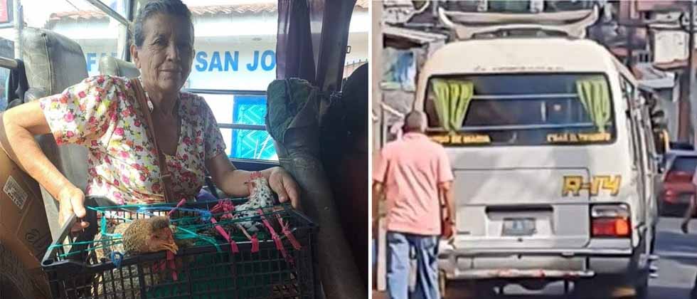 Microbusero baja a señora que viajaba con dos gallinas en Usulután