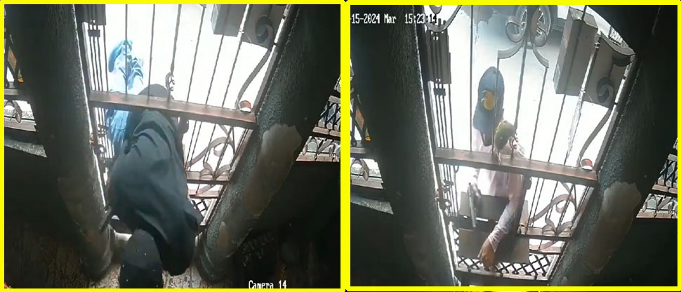 HONDURAS: Cámaras captan cuando ladrón entra por una ventanilla para asaltar un negocio