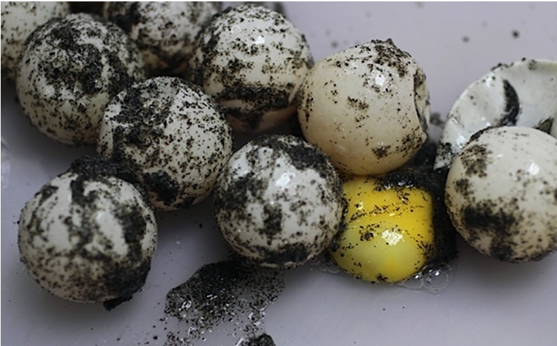 Hasta 5 años de cárcel y $30 mil de multa a quienes comercialicen huevos de tortuga marina