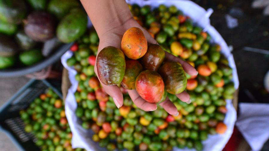 ISTU anuncia ruta de buses alegres para Feria de Jocote de Corona