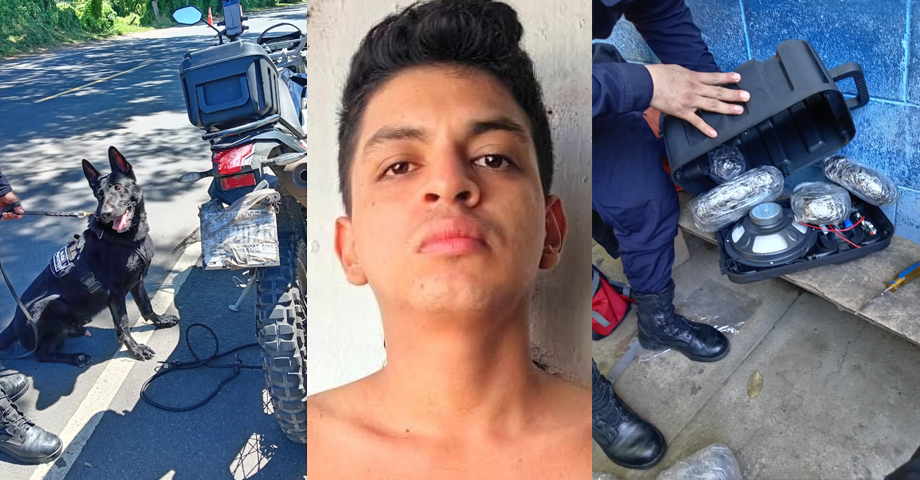 Agente canino descubre droga que un sujeto transportaba al interior de una bocina