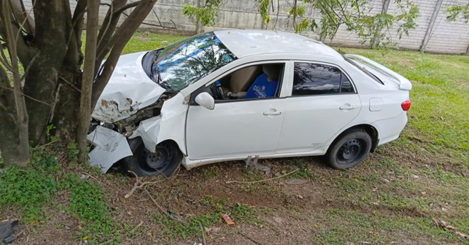 Persona de la tercera edad pierde el control y choca su carro contra un árbol en Santa Ana
