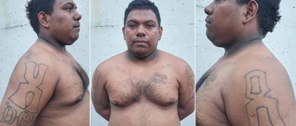 «El CECOT le espera»: Capturan a pandillero que se escondía en Colón