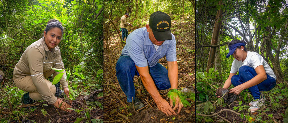 Medio Ambiente lleva a cabo una jornada de reforestación en área natural protegida