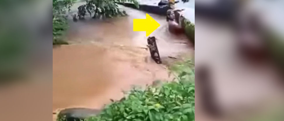 MÉXICO: hombre es arrastrado por un río mientras que otros se ponen a grabar con sus celulares