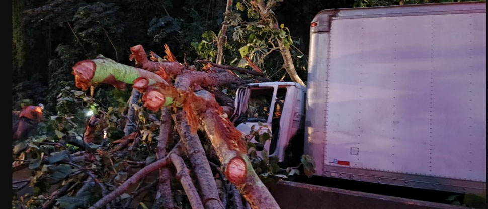 ¡Otra vez los camioneros! conductor y su ayudante se salvan de milagro tras salirse de su carril y chocar en un paredón