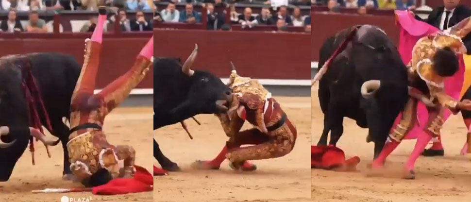 ESPAÑA: Torero peruano es corneado por toro en Madrid y lo manda grave al hospital
