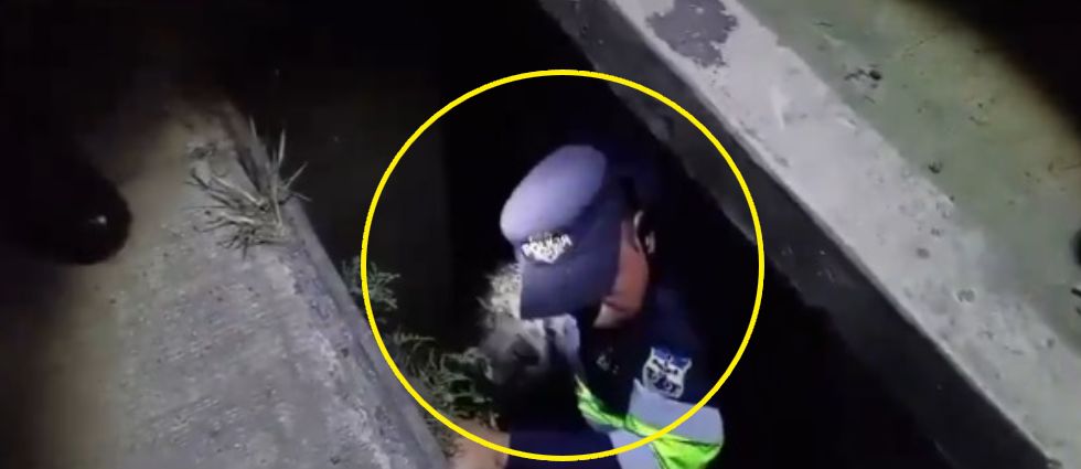 Policía ingresa a un tragante para rescatar a un perrito que había caído en él