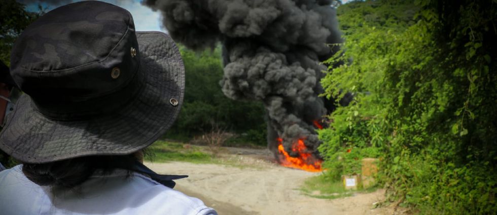 FGR destruye más de un millón de dólares en drogas