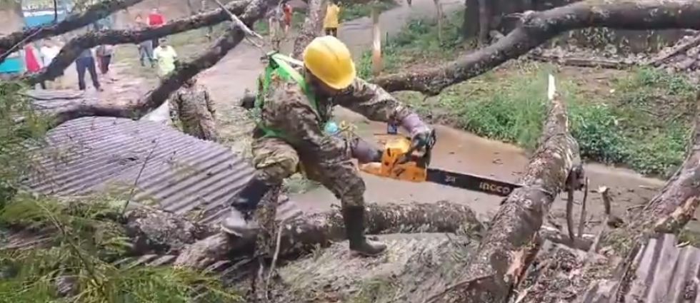 Militares remueven árbol que cayó sobre el techo de una iglesia católica en Suchitoto